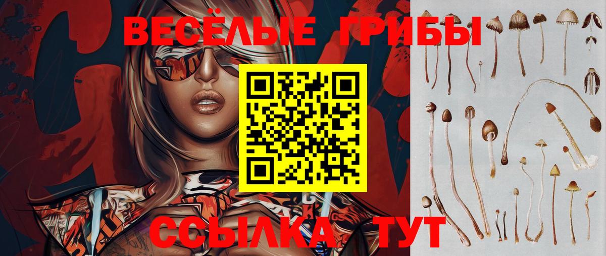 Псилоцибиновые грибы Cubensis Нефтекумск